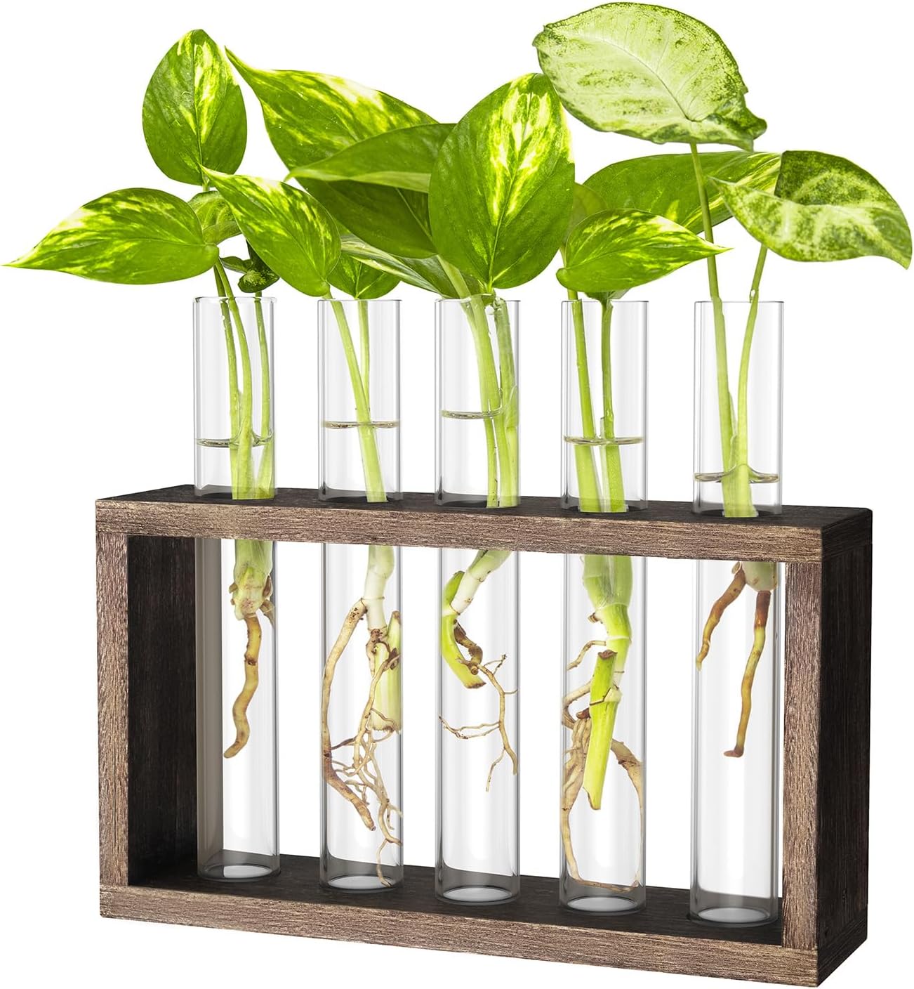 Ivolador Hanging Plant Propagation Tubes,3 Tiered Wall Hanging Terrarium Flower Planter Vase for Hydroponic Plants Cutting Home Office Garden Decor Plant Lover Gift