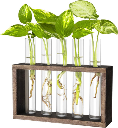 Ivolador Hanging Plant Propagation Tubes,3 Tiered Wall Hanging Terrarium Flower Planter Vase for Hydroponic Plants Cutting Home Office Garden Decor Plant Lover Gift