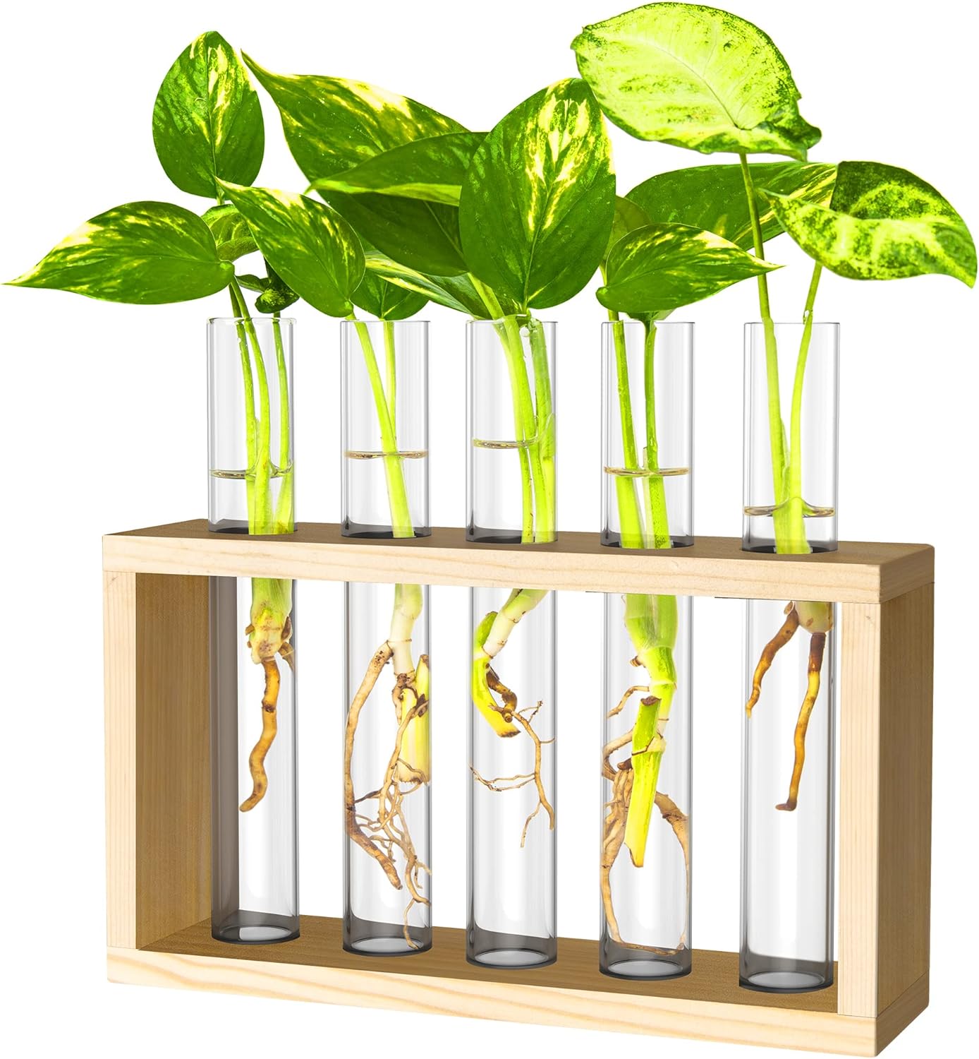 Ivolador Hanging Plant Propagation Tubes,3 Tiered Wall Hanging Terrarium Flower Planter Vase for Hydroponic Plants Cutting Home Office Garden Decor Plant Lover Gift