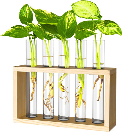 Ivolador Hanging Plant Propagation Tubes,3 Tiered Wall Hanging Terrarium Flower Planter Vase for Hydroponic Plants Cutting Home Office Garden Decor Plant Lover Gift